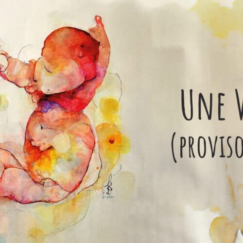 UNE VIE (PROVISOIRE)